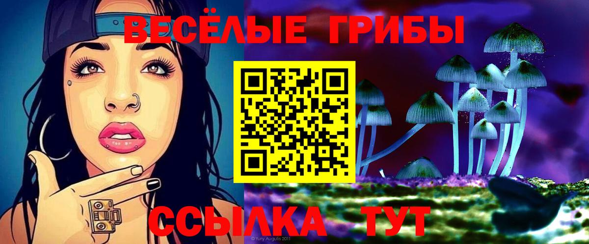 Псилоцибиновые грибы MAGIC MUSHROOMS  Галлюциногенные грибы Cubensis  Свободный  Вход с VPN 