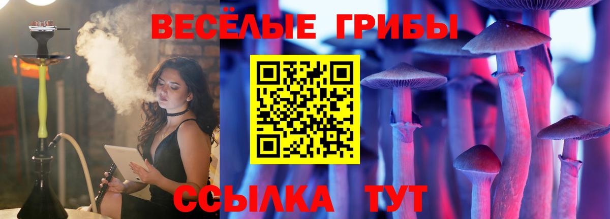 Псилоцибиновые грибы Psilocybine cubensis Свободный